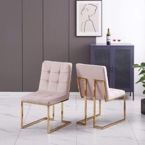Spectra Velvet Fabric Dining Chair Pink & Gold